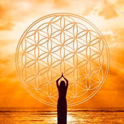 Flower of Life, biddend - kopie